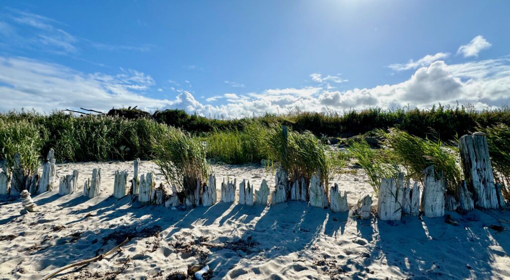 Strand mit Pollern