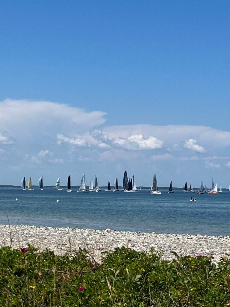 whatsapp image 2025 07 30 at 09.38.52