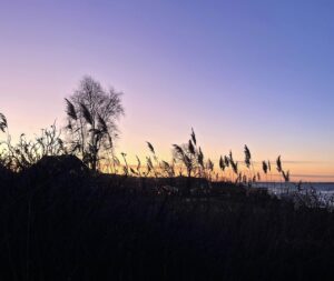 Der Himmel zeigt sich von seiner besten Seite