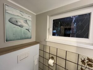 Die Schweinswale kommen jedes Jahr zu uns