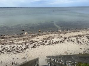 Naturstrand in Jellenbek